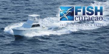 Fish Curacao