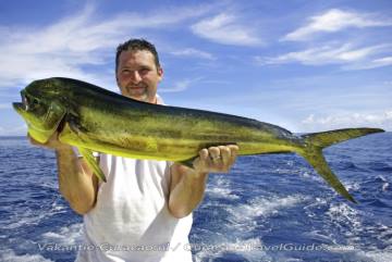 Deep Sea Fishing, catch Mahi Mahi