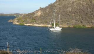 Sailing / Boat Trips