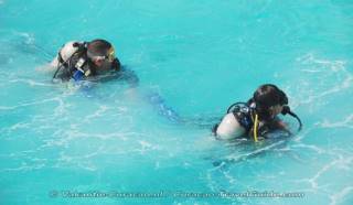 Curacao is an ideal vacation spot for divers