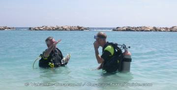 Learn to Dive? PADI Dive Operators