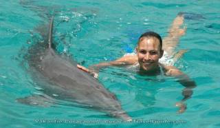 Dolphins