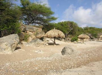 Playa Jeremi