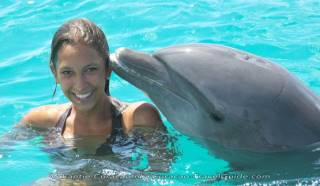 Swimming with Dolphins