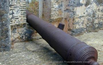 Gun