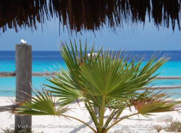 View white sandy beach