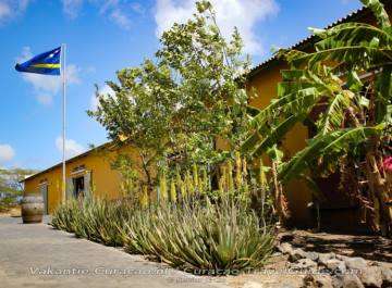 Liqueur distillery
