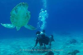B Diving & Watersports