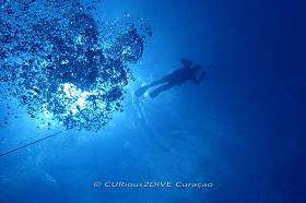 CURious2DIVE