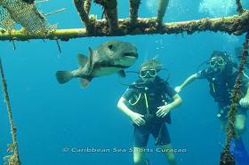 Caribbean Sea Sports
