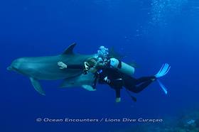 Ocean Encounters