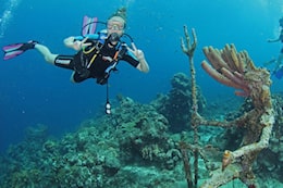 The Best Dive Operators