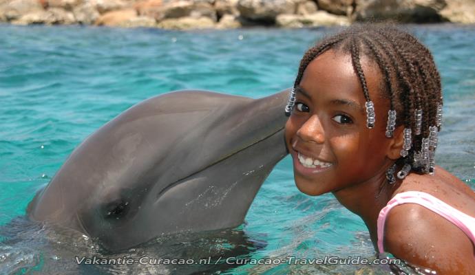 Visit the Dolphins...