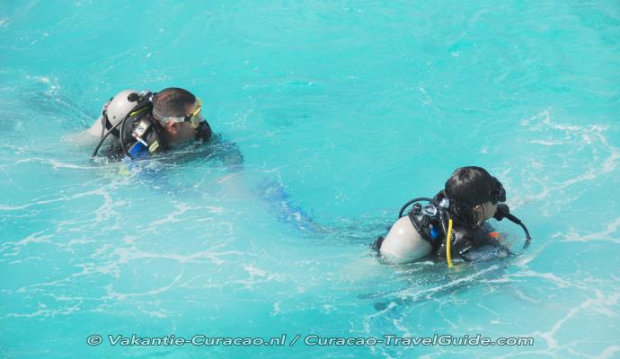 (Learn to) Scuba Dive